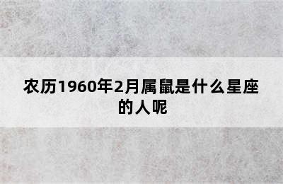 农历1960年2月属鼠是什么星座的人呢