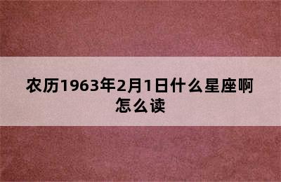 农历1963年2月1日什么星座啊怎么读