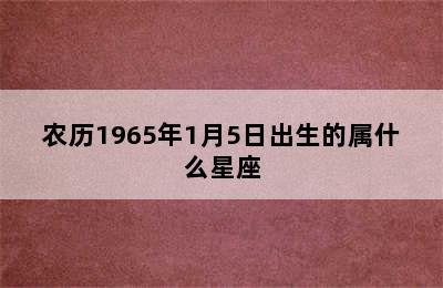 农历1965年1月5日出生的属什么星座