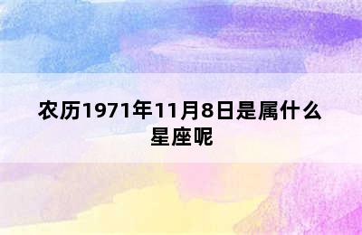 农历1971年11月8日是属什么星座呢