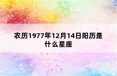 农历1977年12月14日阳历是什么星座