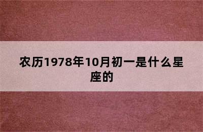 农历1978年10月初一是什么星座的