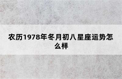 农历1978年冬月初八星座运势怎么样