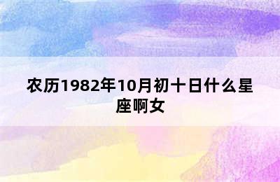 农历1982年10月初十日什么星座啊女