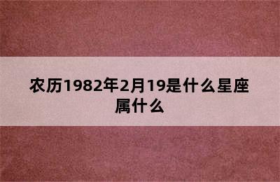 农历1982年2月19是什么星座属什么