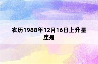 农历1988年12月16日上升星座是