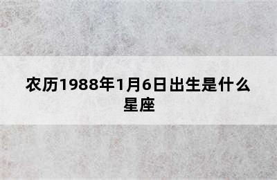 农历1988年1月6日出生是什么星座