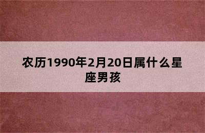 农历1990年2月20日属什么星座男孩