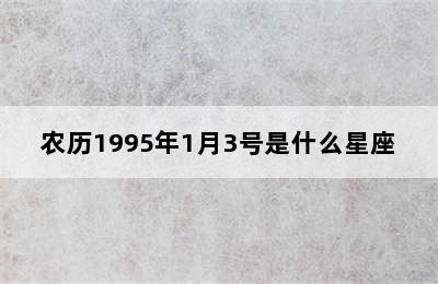 农历1995年1月3号是什么星座