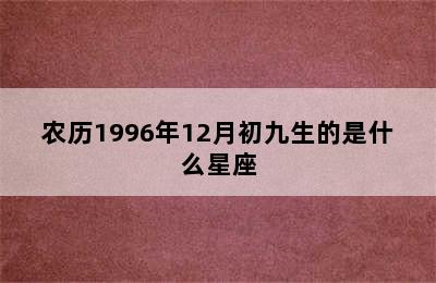 农历1996年12月初九生的是什么星座