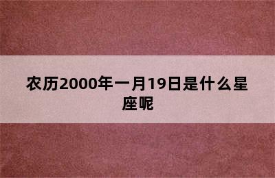 农历2000年一月19日是什么星座呢