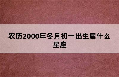 农历2000年冬月初一出生属什么星座