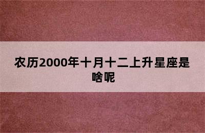 农历2000年十月十二上升星座是啥呢