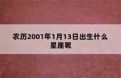 农历2001年1月13日出生什么星座呢