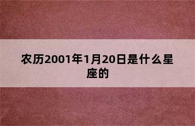 农历2001年1月20日是什么星座的