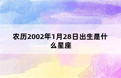 农历2002年1月28日出生是什么星座