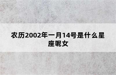 农历2002年一月14号是什么星座呢女