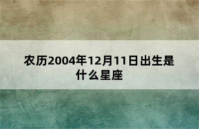 农历2004年12月11日出生是什么星座