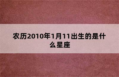 农历2010年1月11出生的是什么星座