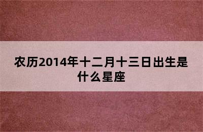 农历2014年十二月十三日出生是什么星座