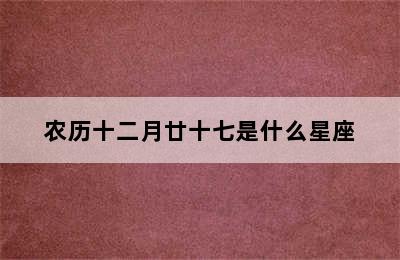 农历十二月廿十七是什么星座