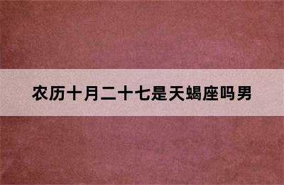 农历十月二十七是天蝎座吗男