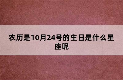 农历是10月24号的生日是什么星座呢