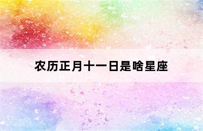 农历正月十一日是啥星座