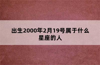 出生2000年2月19号属于什么星座的人