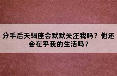 分手后天蝎座会默默关注我吗？他还会在乎我的生活吗？