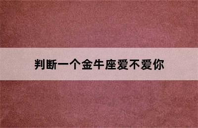 判断一个金牛座爱不爱你