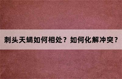 刺头天蝎如何相处？如何化解冲突？
