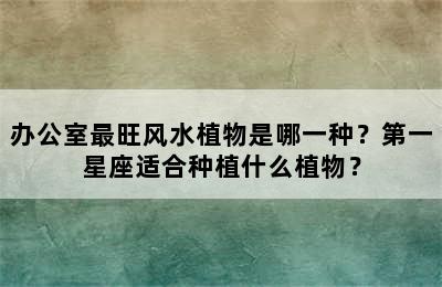办公室最旺风水植物是哪一种？第一星座适合种植什么植物？