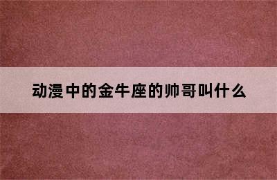 动漫中的金牛座的帅哥叫什么