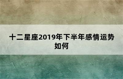 十二星座2019年下半年感情运势如何