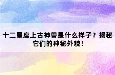 十二星座上古神兽是什么样子？揭秘它们的神秘外貌！