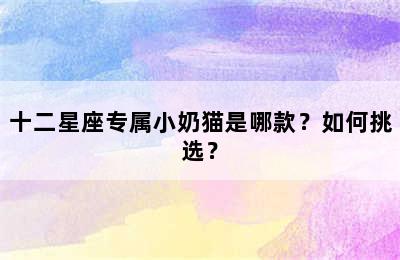 十二星座专属小奶猫是哪款？如何挑选？