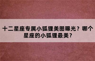 十二星座专属小狐狸美图曝光？哪个星座的小狐狸最美？