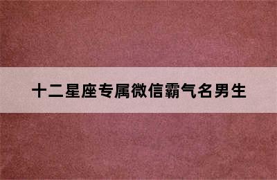 十二星座专属微信霸气名男生