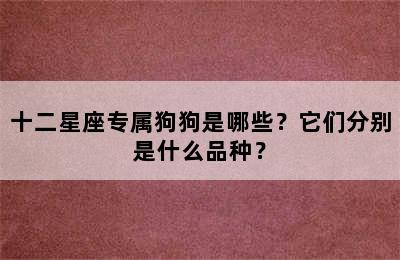 十二星座专属狗狗是哪些？它们分别是什么品种？