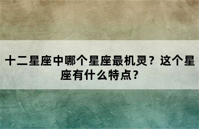 十二星座中哪个星座最机灵？这个星座有什么特点？