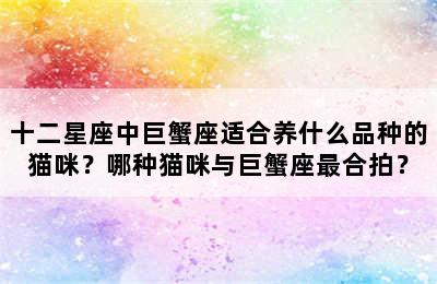 十二星座中巨蟹座适合养什么品种的猫咪？哪种猫咪与巨蟹座最合拍？