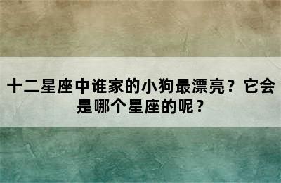 十二星座中谁家的小狗最漂亮？它会是哪个星座的呢？