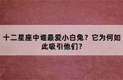 十二星座中谁最爱小白兔？它为何如此吸引他们？