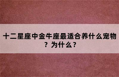 十二星座中金牛座最适合养什么宠物？为什么？