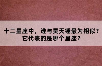 十二星座中，谁与昊天锤最为相似？它代表的是哪个星座？