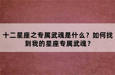 十二星座之专属武魂是什么？如何找到我的星座专属武魂？