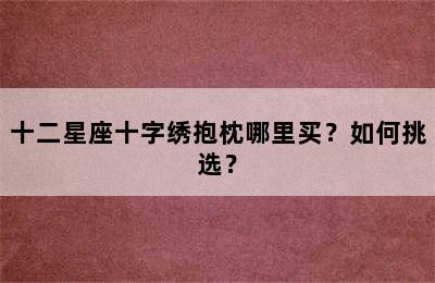 十二星座十字绣抱枕哪里买？如何挑选？