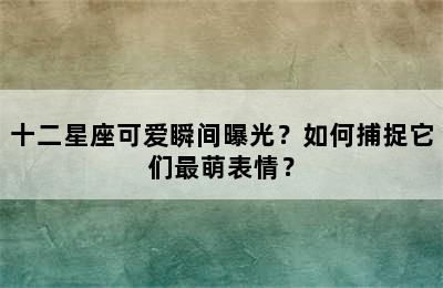 十二星座可爱瞬间曝光？如何捕捉它们最萌表情？