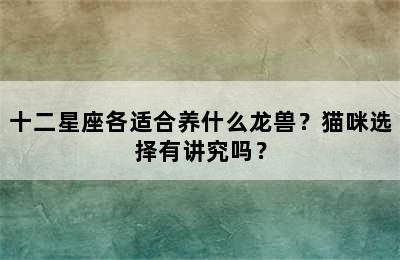 十二星座各适合养什么龙兽？猫咪选择有讲究吗？